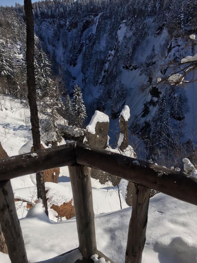 West Slope of Changbai Mountain Scenic Area