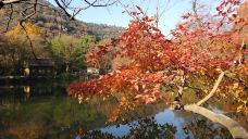 林州天平山风景区-林州-貓貓達