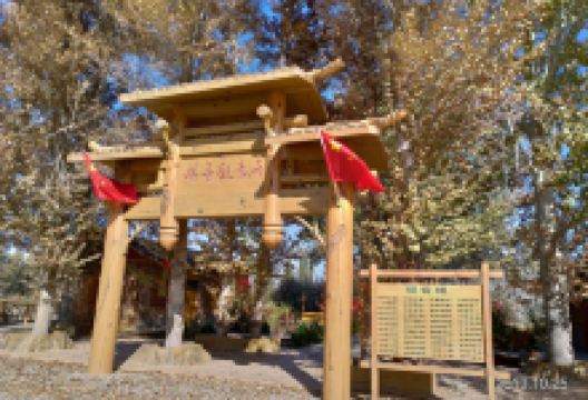 千手观音杨景点图片