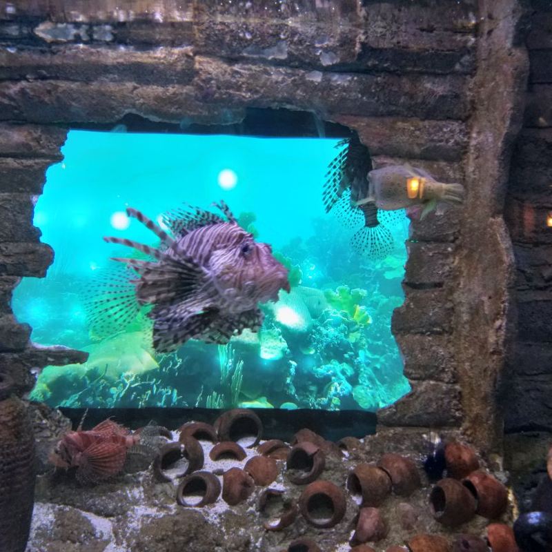 Aquaria Klcc Travel Guidebook Must Visit Attractions In Kuala