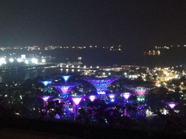 新加坡濱海灣花園