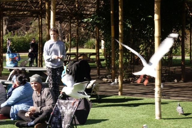 Melbourne Zoo