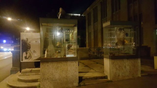 Zoological Museum