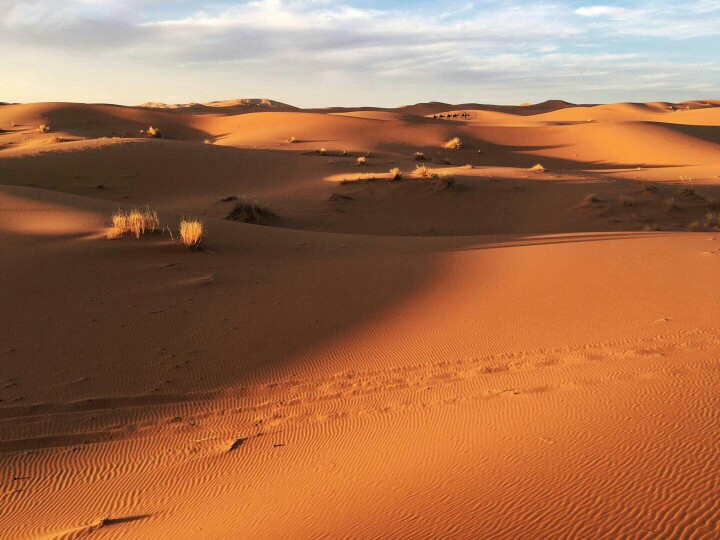 摩洛哥沙漠豪华游3天2夜