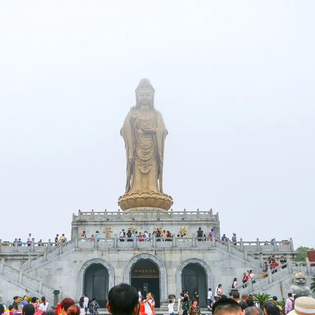 浙江普陀山2日1晚跟团游报价246/人起-2023年12月宁波旅游团-宁波旅游编号29389264-[手机版携程旅游]