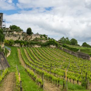 Bordeaux