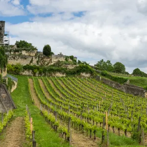 Bordeaux