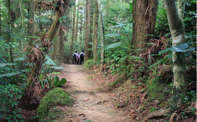 福山古道