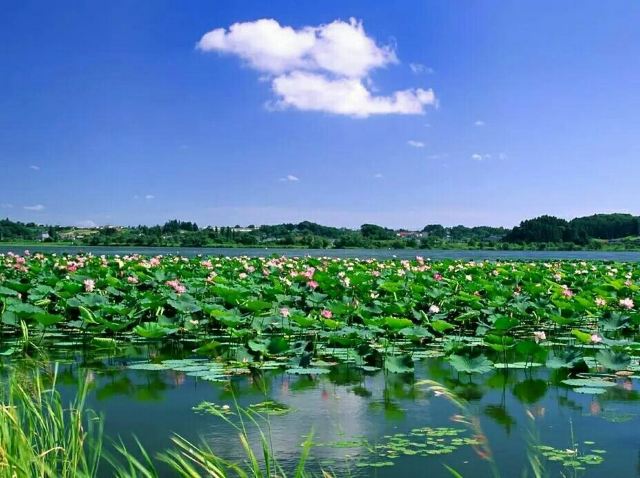Shunfeng Mountain Park