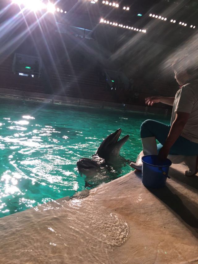 Marine Park