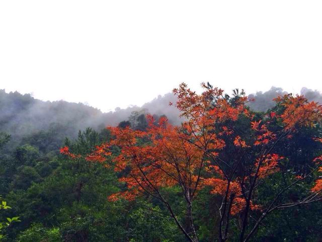 Gupo Mountain