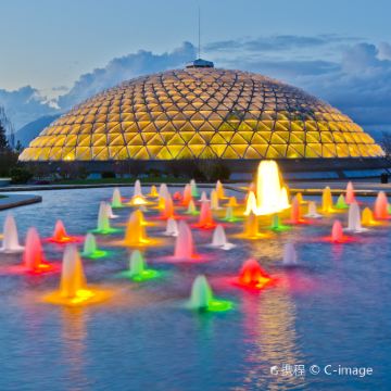 加拿大温哥华卡皮拉诺吊桥公园+松鸡山+伊丽莎白女王公园一日游