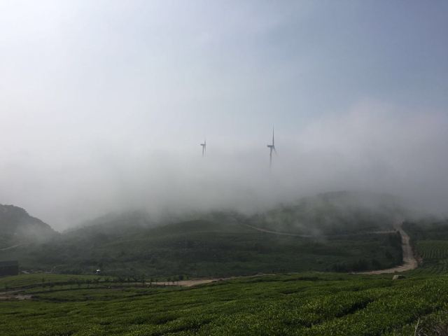 동백산