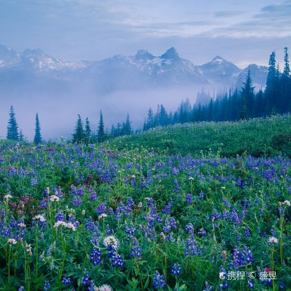 旧金山+火山口湖国家公园+瑞尼尔山国家公园+塞勒姆6日5晚跟团游