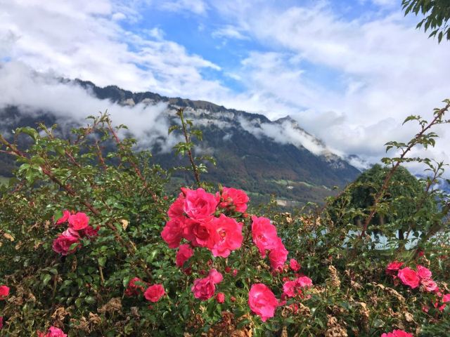 Lake Thun