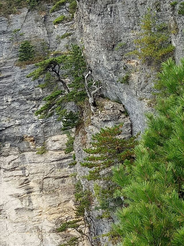 八台山