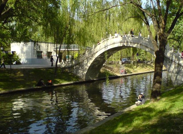 Purple Bamboo Park