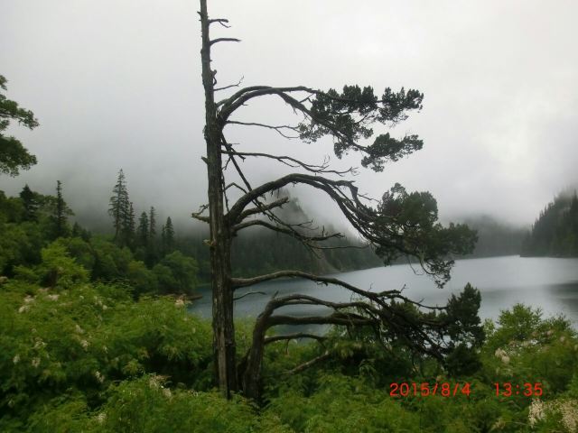 長海