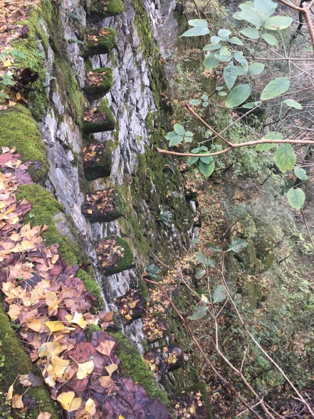 天目山景區