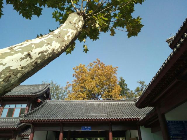Qixia Mountain
