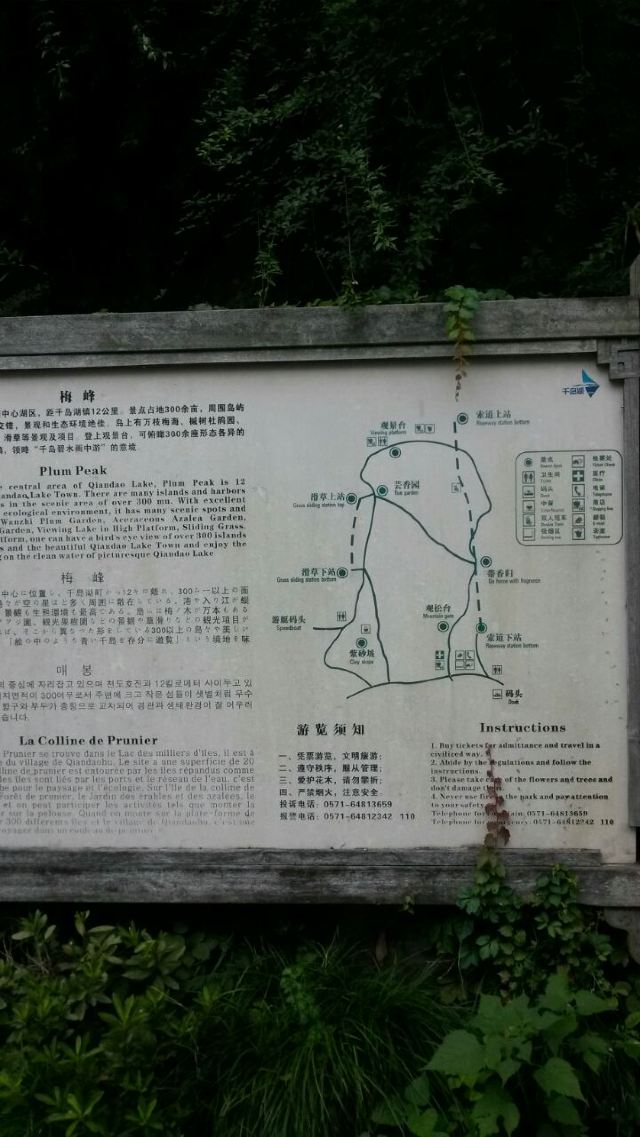 메이펑다오