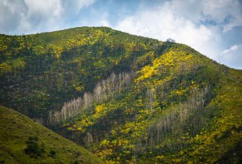 山西五台山一日游【五台山机场到站接送】【一对一包车，上门接送，车辆费用全含】