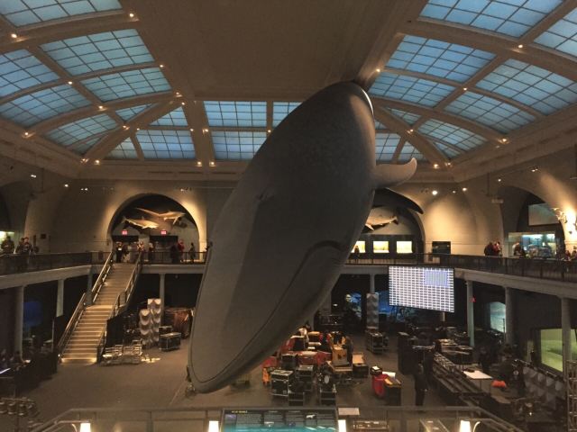 American Museum of Natural History