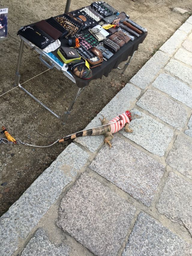 시텐노지