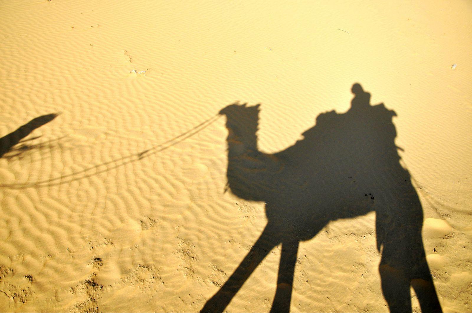 骆驼沙漠之旅