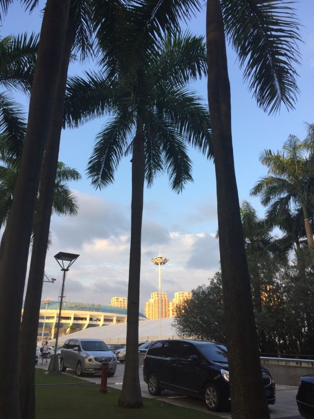 Shenzhen Stadium