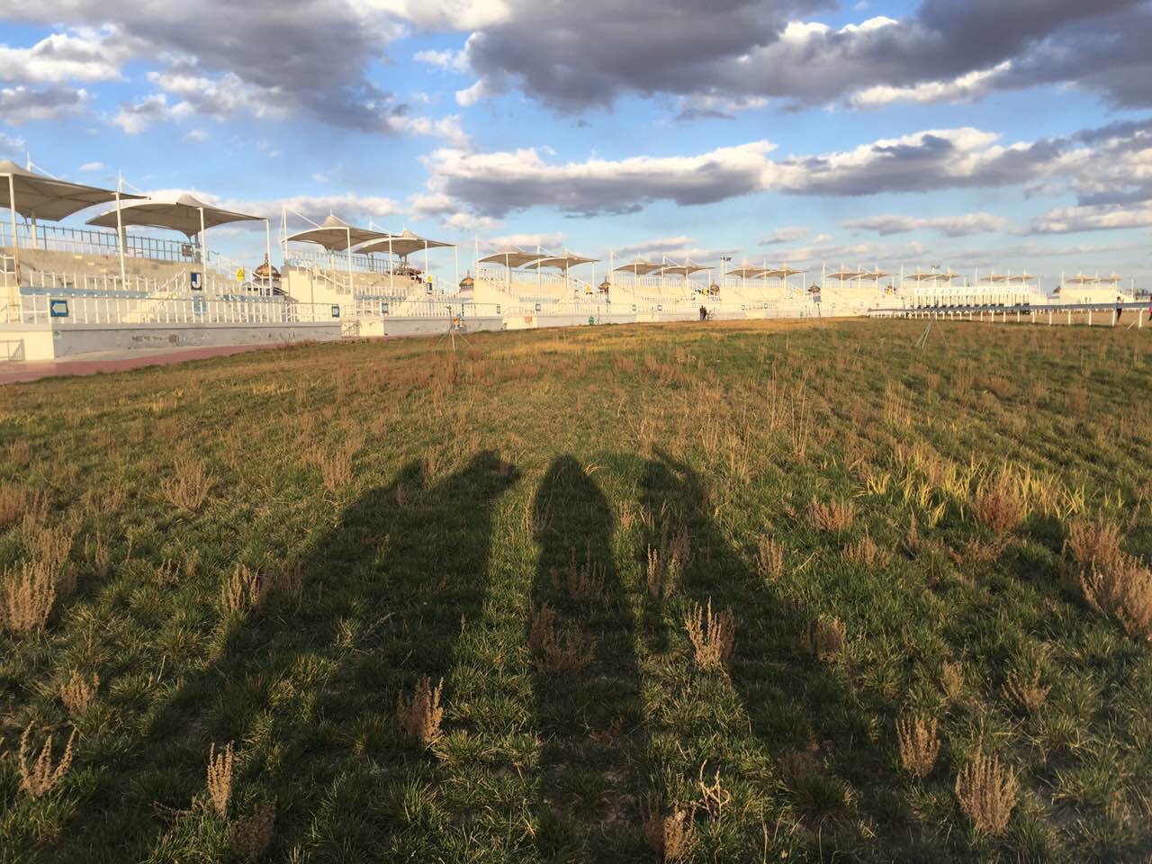 内蒙古的大草原