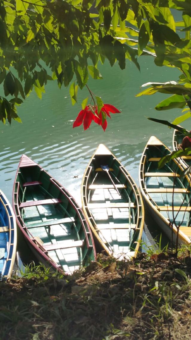 Phewa Lake