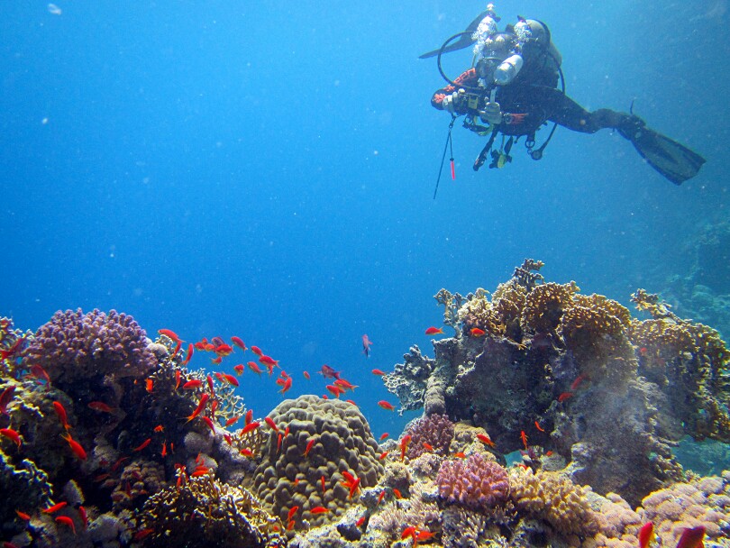 埃及红海潜水 潜水拍摄时自己成为被拍摄者