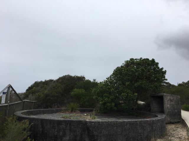 South Head and Watsons Bay Walk