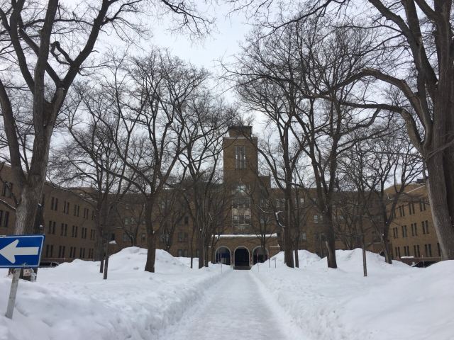 北海道大學