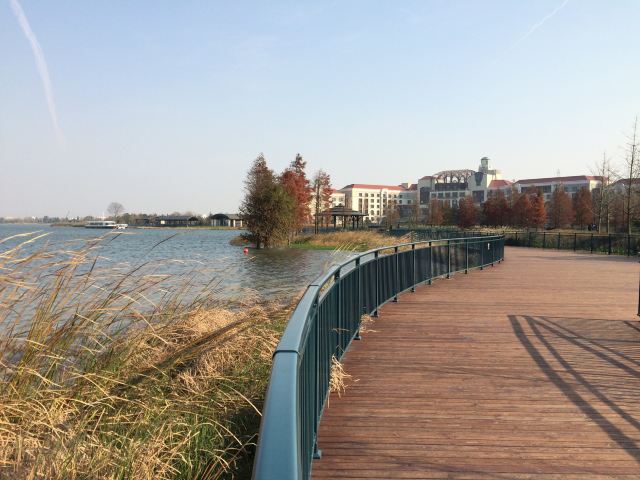 Disneytown