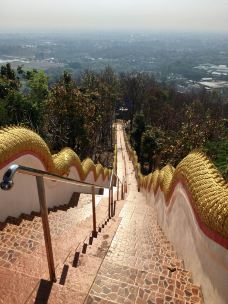 来康佛寺-清迈-猫-旅行