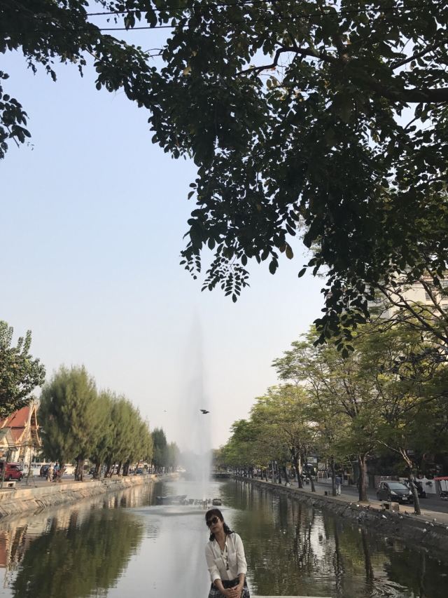 타패게이트