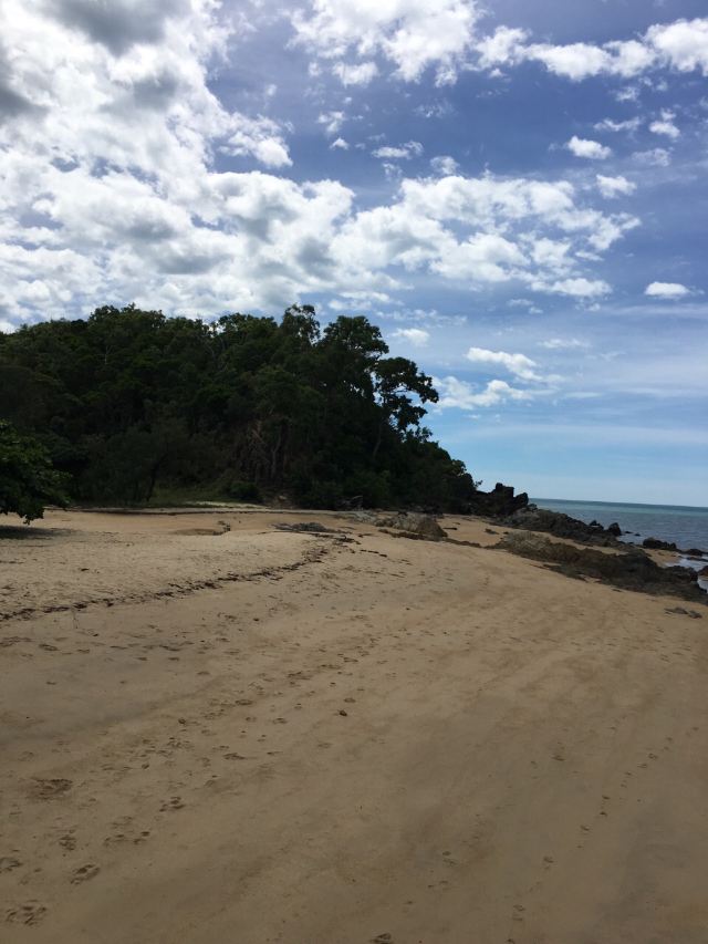 Palm Cove
