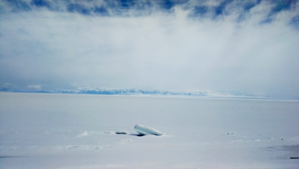 洁白的赛里木湖 一场大雪把美丽的赛里木湖覆盖的严严实实，远看，分不出是湖还是陆地，一片洁白而纯净，只