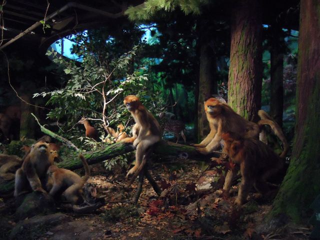 Tianjin Natural History Museum