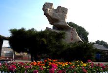 青县旅游图片-沧州传统文化两日游