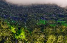 萨拉济-萨拉济-doris圈圈