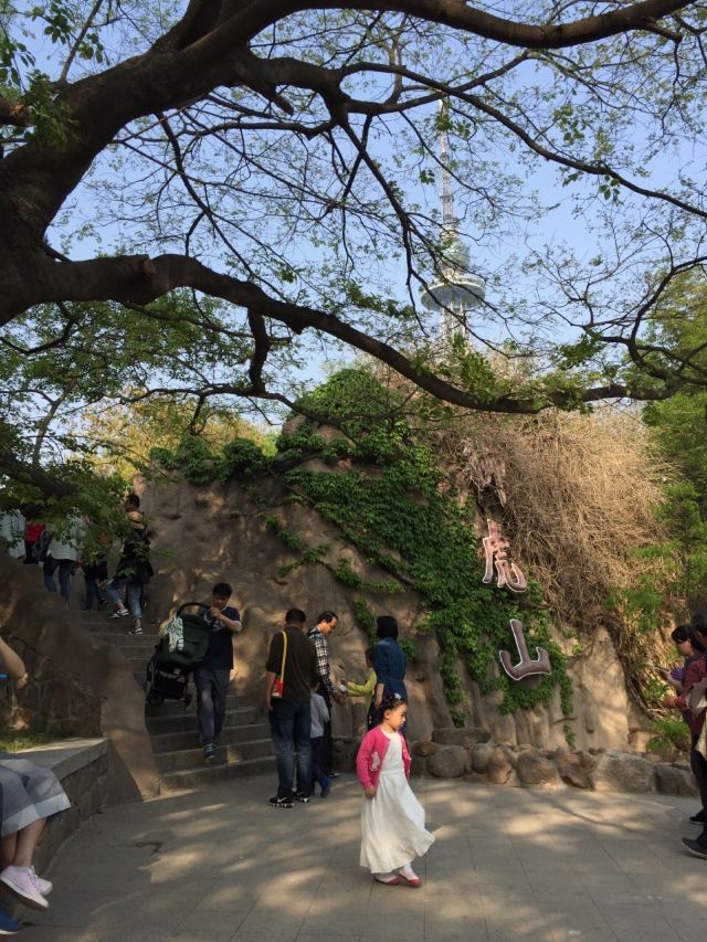 칭다오(청도) 동물원