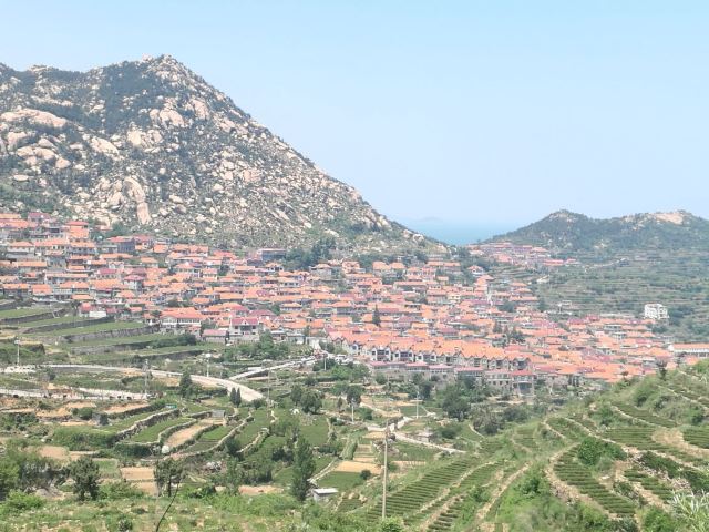 노산