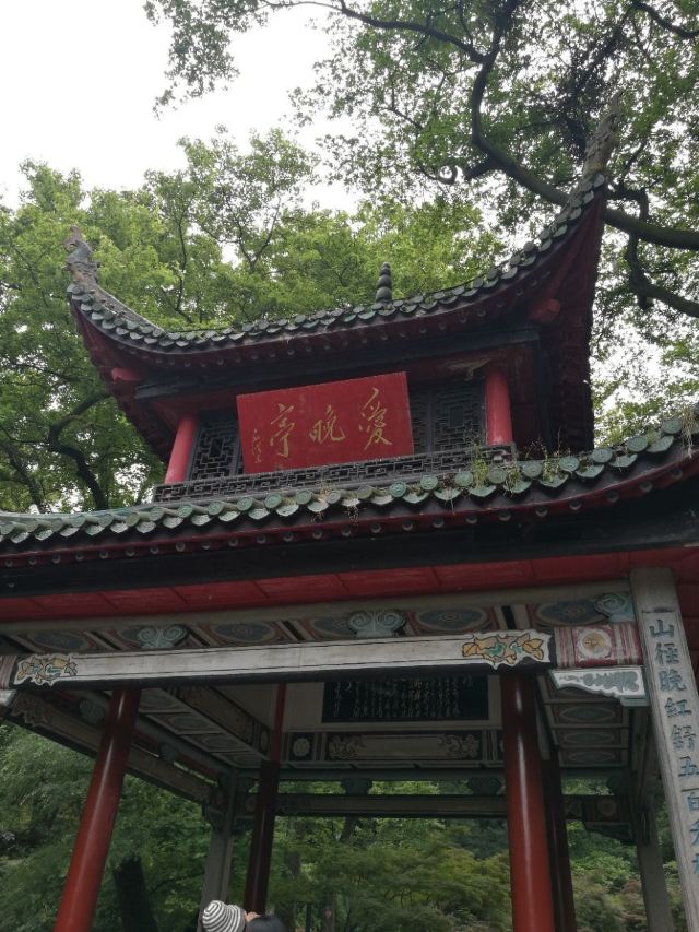 애완정