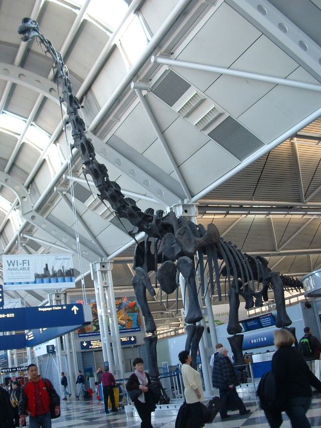 The Field Museum