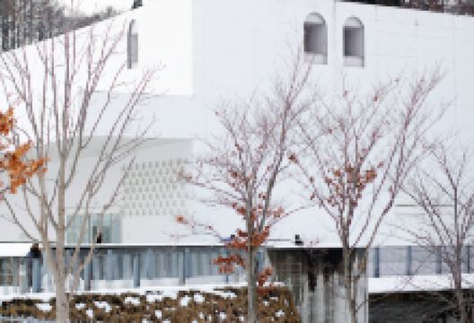 岩手县旅游图片-青森县消夏避暑2日游