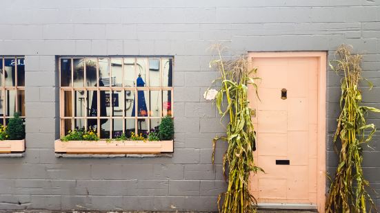 The Pink Door Reviews Food Drinks In Washington Seattle Trip Com