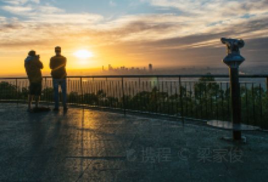 伊普斯维奇旅游图片-布里斯班精华2日游